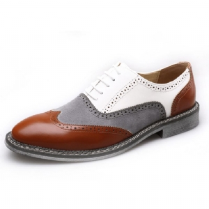 Mężczyźni Brogue Colorblock Oksfordzie Zasznurować Business Codzienne Formalne Buty